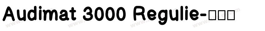 Audimat 3000 Regulie字体转换